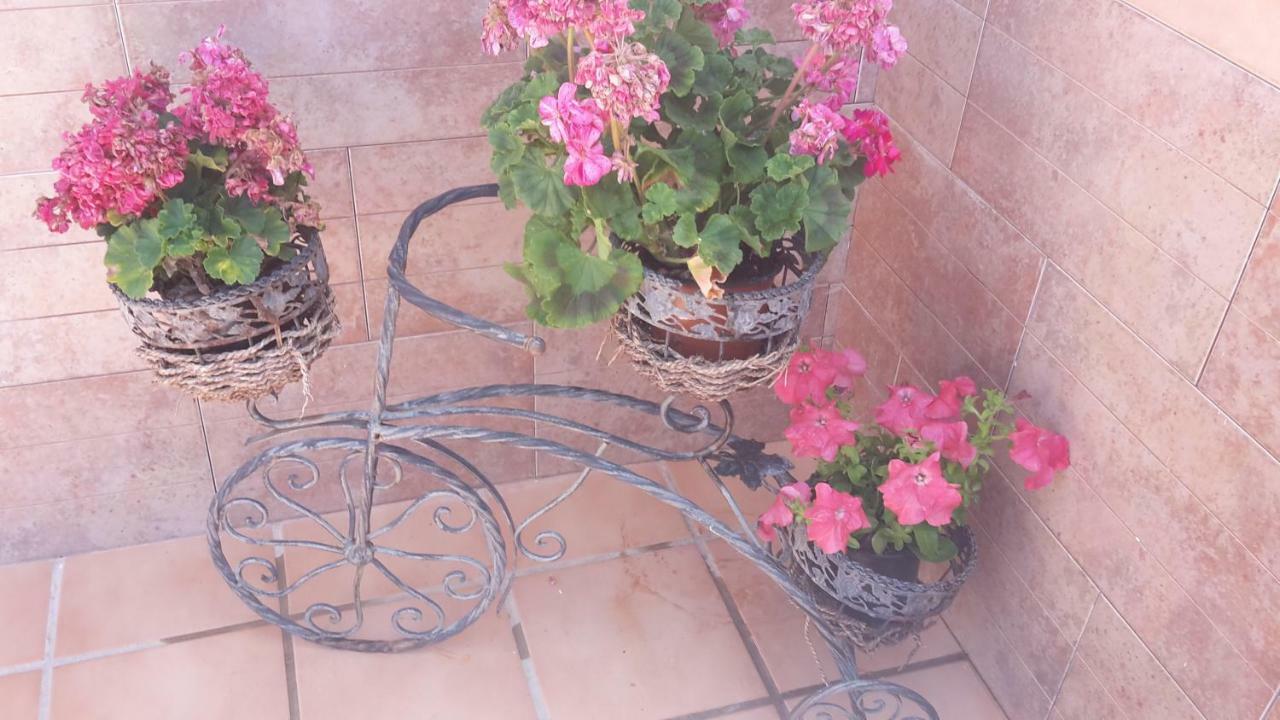 Appartamento Bravo 24 Fuengirola Esterno foto